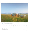 Sylt Impressionen Postkartenkalender 2025 - Sylter - Marken