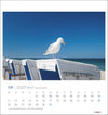 Sylt Impressionen Postkartenkalender 2025 - Sylter - Marken