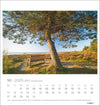 Sylt Impressionen Postkartenkalender 2025 - Sylter - Marken